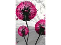 60CM 40CM OBRAZ ŚCIENNY DMUCHAWCE AMARANCIE DRUK PŁÓTNO RAMA