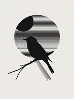 Plakat 30x40cm Kontrast Smukłości