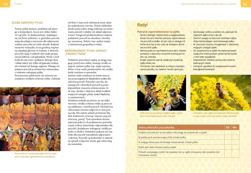Dobra praktyka pszczelarska zdjęcie 4