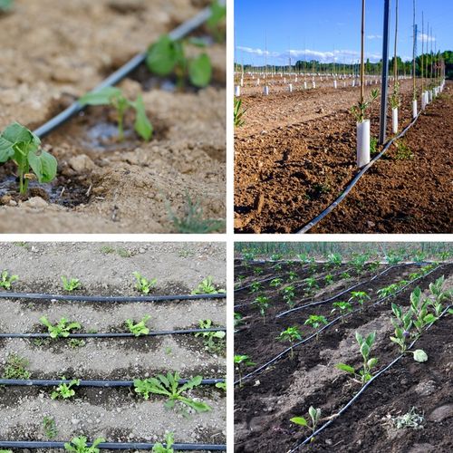 LINIA KROPLUJĄCA 100m+179EL NAWADNIANIE KROPELKOWE WĄŻ KROPELKUJĄCY SOLIDNY na Arena.pl