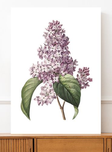 Plakat kwiat bzu vintage plakaty 21x29,7 cm A4 na Arena.pl