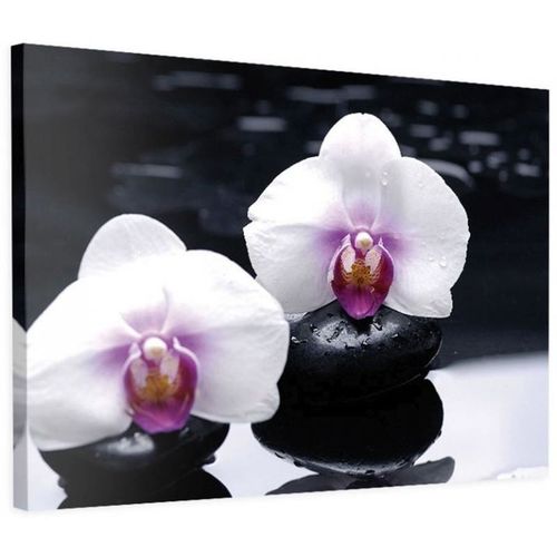 Obraz na płótnie - Canvas, Orchidea Zen 3 80x60 na Arena.pl