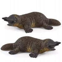 Wild Life. SLH14840. Dziobak