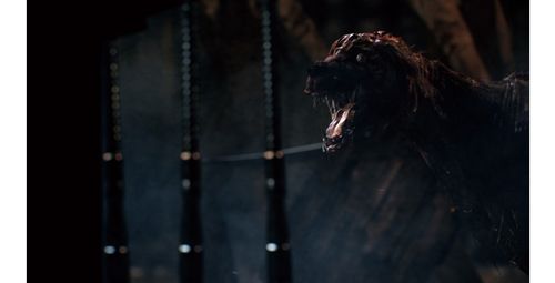 Sony Gra PS4 Bloodborne GOTY na Arena.pl