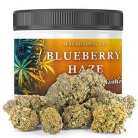 CBD SUSZ KONOPNY | BLUEBERRY HAZE PREMIUM 1000g