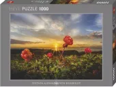Puzzle 1000 Malina Nordycka z zachodem słońca