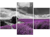 90X60CM OBRAZ LAWENDA