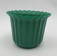 osłonka muszelka 9 cm zielona - 20szt.