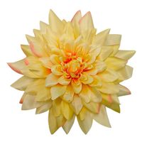 Dalia wyrobowa duża słoneczna T138