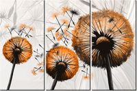 product-compare-58677512