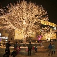 lampki choinkowe świąteczne 300 led biały ciepły