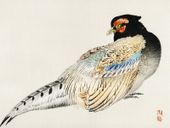 Plakat 40x30cm Peregrine Falcon, Kōno Bairei Japoński Vintage do Salonu
