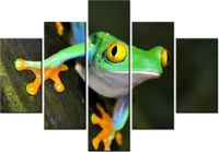 70 100CM OBRAZ 5 ELEM CHWYTNICA DRUK PŁÓTNO