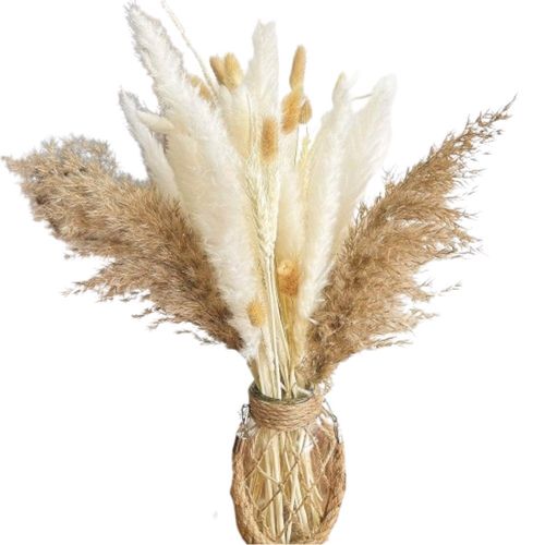 trawa pampasowa suszona dekoracja na Arena.pl