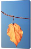 Obraz 60x100cm Ostatni Liść