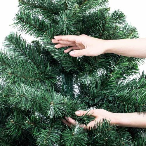 CS/JODLA/CECILIA/PIEN/1,8 na Arena.pl