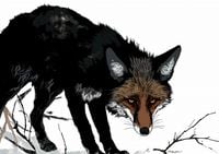 Plakat 42x29,7cm Nieufny Lis