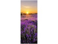 40X100CM POLE LAWENDY OBRAZ PION