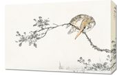 Obraz 60x40cm Pied Kingfisher, Kashu Japoński Vintage do Salonu