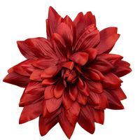 Dalia wyrobowa 6 szt bordowa