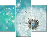 product-compare-58712464