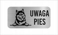 GRAWER Tabliczka nierdzewna 20x10 cm UWAGA PIES Syberyjski Husky