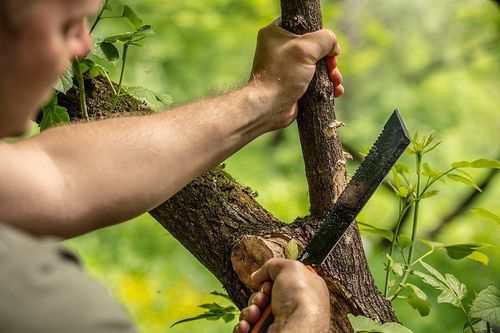 maczeta 40cm. - t n63-117 na Arena.pl