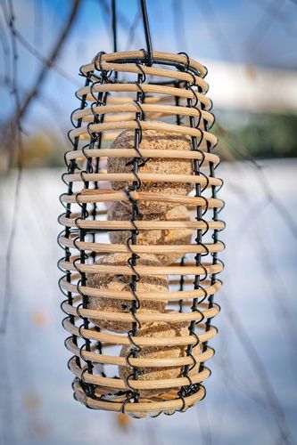 KARMNIK DLA PTAKÓW NA ZIMĘ FAYA + KULE BILE TŁUSZCZOWE (15 SZT) + PORADNIK na Arena.pl