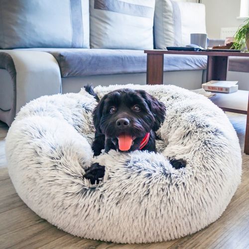 Legowisko posłanie Chmurka dla psa i kota Shaggy 80 na Arena.pl
