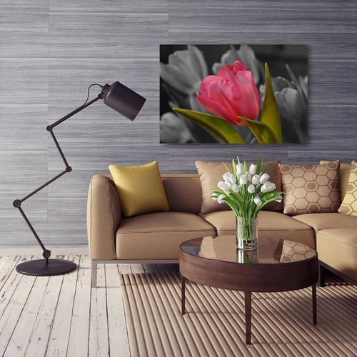 Obraz na płótnie - Canvas, Czerwony tulipan 40x30 na Arena.pl