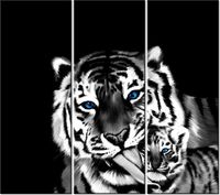 90CM 80 OBRAZ 3 ELEM TYGRYSY ŚCIENNY