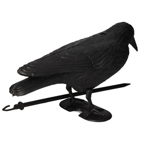 KRUK DUŻY ODSTRASZACZ GOŁĘBI PTAKÓW SZPAKÓW BALKON na Arena.pl
