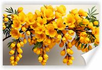 Fototapeta PREMIUM STRUKTURA ZMYWALANA NA WYMIAR kompozycja żółtych kwiatów