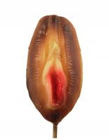 PREZENT URODZINY 18-99 LIZAK walentynki faceta chłopaka wieczór kawalerski