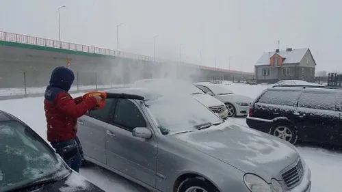 Dmuchawa do liści spalinowa odkurzacz liści DEMON na Arena.pl