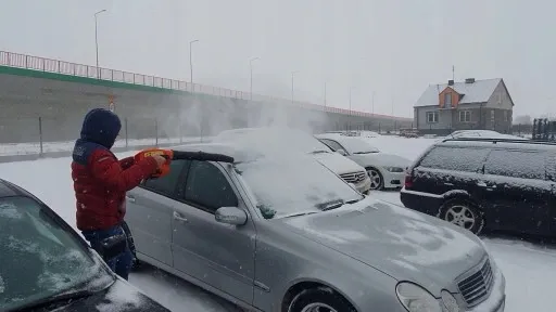 Dmuchawa do liści spalinowa odkurzacz liści DEMON zdjęcie 15