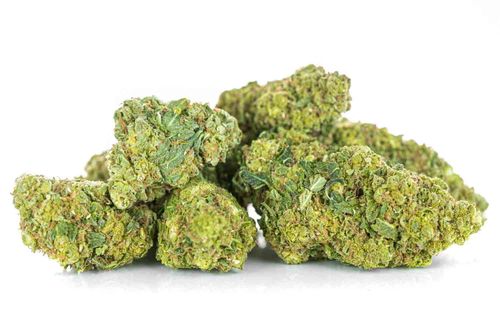 Susz konopny CBD AK 47 SUPER AMSTERDAM 1g na Arena.pl