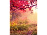 40X50CM JESIENNY KRAJOBRAZ OBRAZ