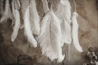 Tło fotograficzne Produktowe FLAT LAT Kulinarne