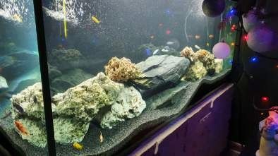 LAWA LAWA WULKANICZNA 2-8 mm 25 kg ŻWIREK AKWARIUM NA DNO na Arena.pl