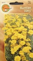 Rumian żółty nasiona skalniak bylina skarpa