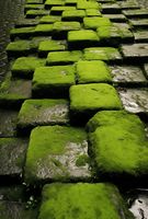 Plakat 67,5x100cm Zielona Mozaika