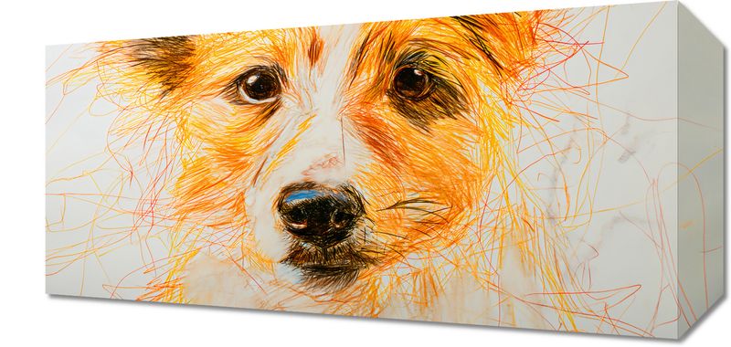 Obraz 40x20cm Uroczy Gość zdjęcie 1