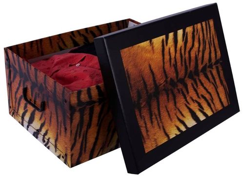 PUDEŁKO KARTONOWE MAXI STYL TYGRYS na Arena.pl