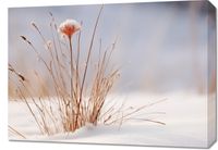 Obraz 70x50cm Zima w Detalach