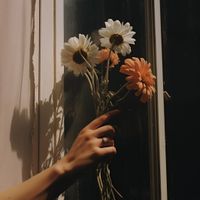 product-compare-59366803