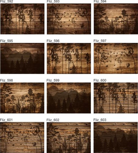 OBRAZ do pokoju salonu sypialni zwierzęta 120x80 na Arena.pl