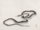 Plakat 20x15cm Snake, Kōno Bairei