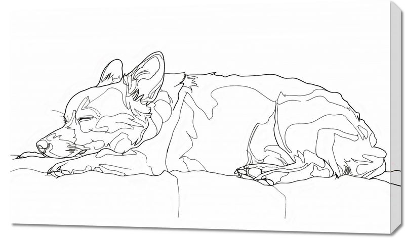 Obraz 100x60cm Śpiący Psiak zdjęcie 1