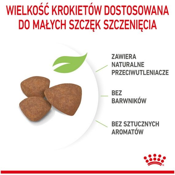 Karma sucha opracowana specjalnie dla szczeniąt małych ras Royal Canin 4kg zdjęcie 4